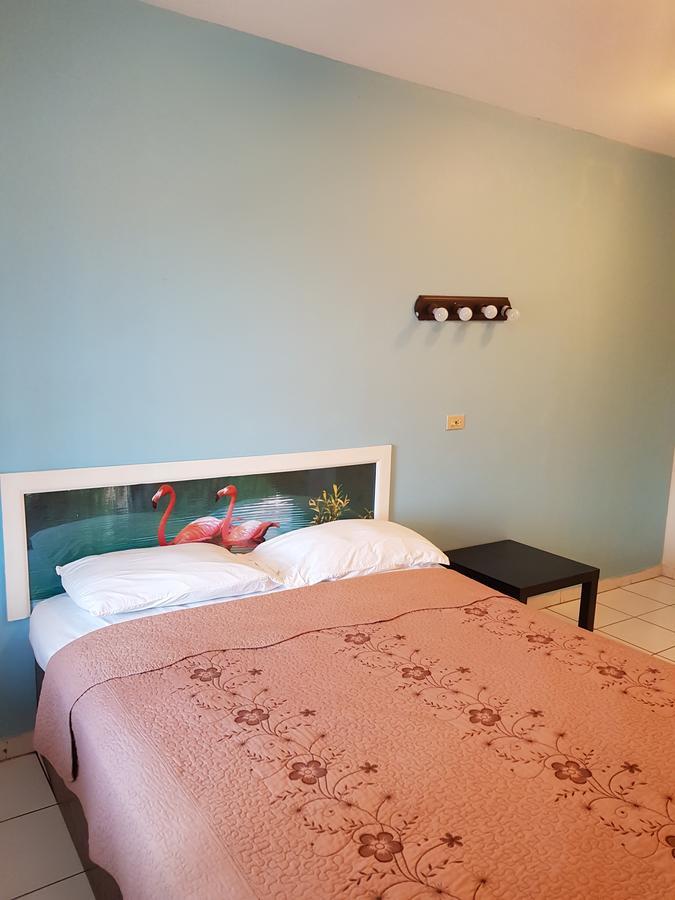 ناسو Hibiscus Inn Hotel المظهر الخارجي الصورة