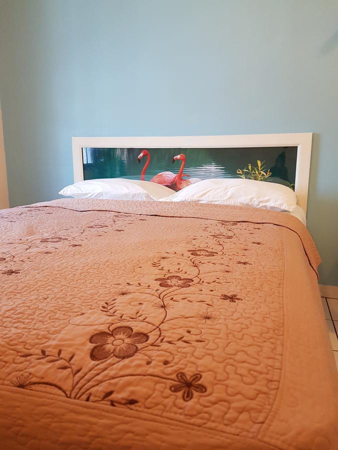 ناسو Hibiscus Inn Hotel المظهر الخارجي الصورة